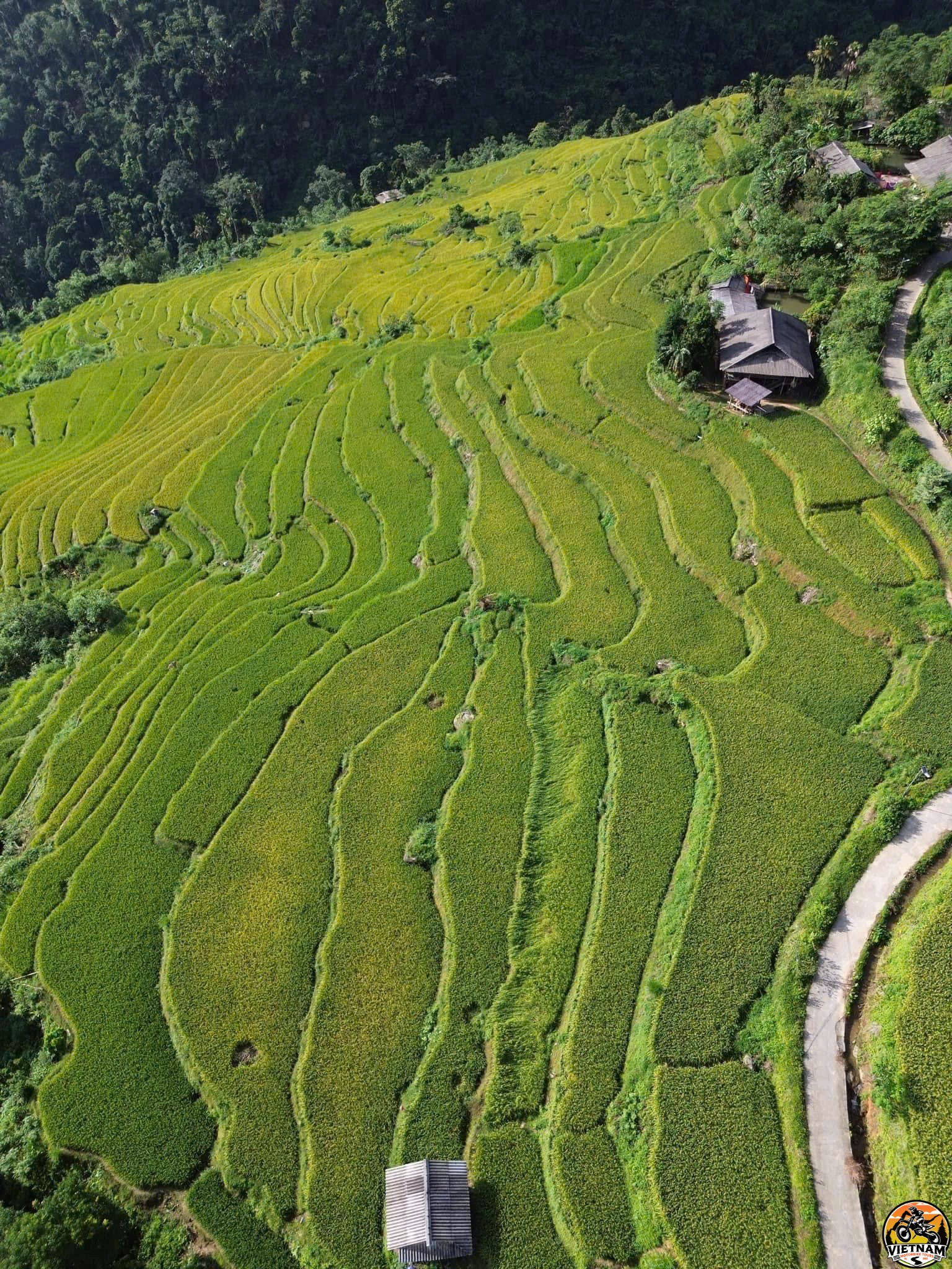 Vietnam Motorbike Tours-Sapa&rsquo;s Breathtaking Rice Terraces Carved into the Mountainsides