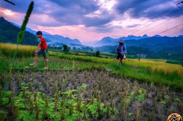 MOTORBIKE TOURS 7 DAYS FROM NHA TRANG TO HOI AN13