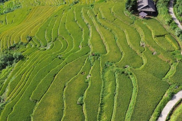 MOTORBIKE TOUR 25 DAYS FROM HO CHI MINH TO HA NOI5