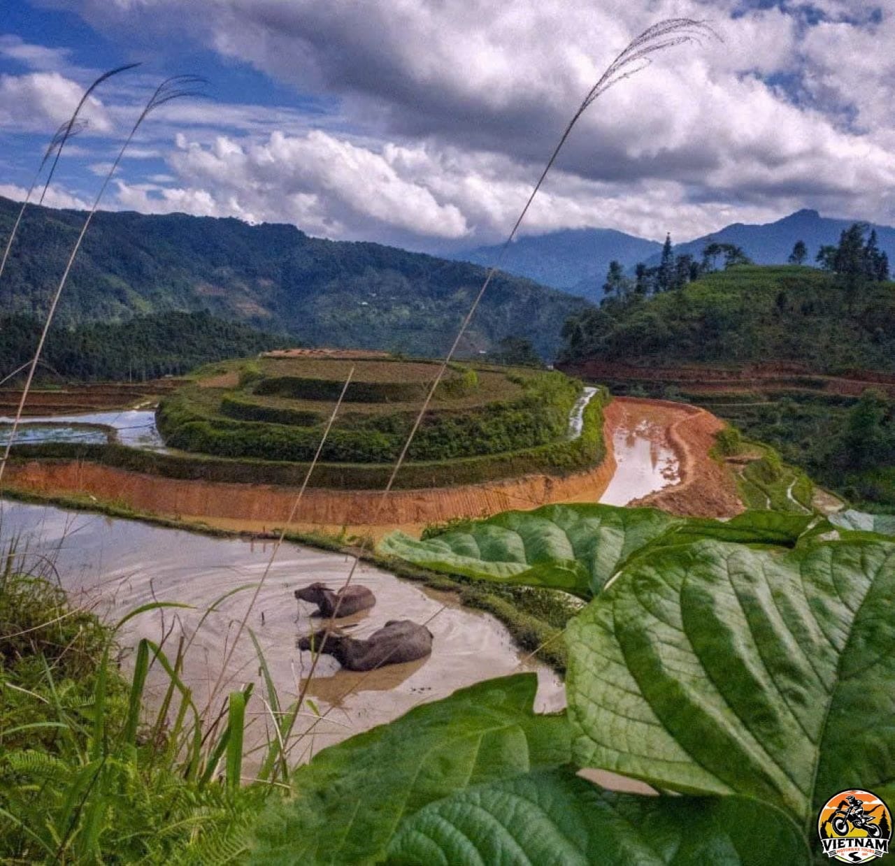Vietnam Motorbike Tours
