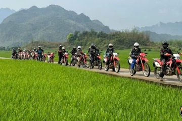MOTORBIKE TOUR 15 DAYS FROM HANOI TO DA NANG VIA HA GIANG LOOP