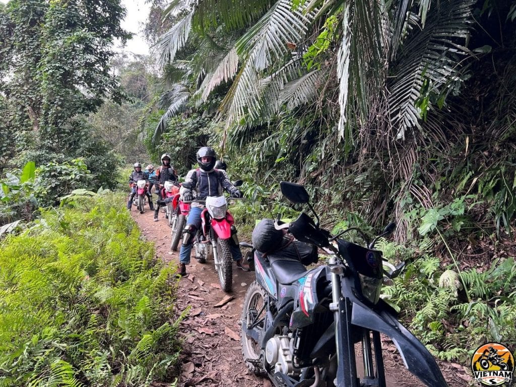 Vietnam Motorbike Tours