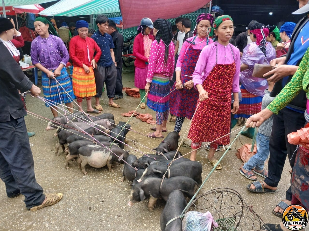 Vietnam Motorbike Tours