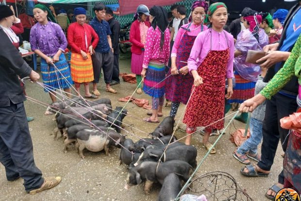 MOTORBIKE TOUR 12 DAYS FROM HA NOI AND RETURN HANOI7