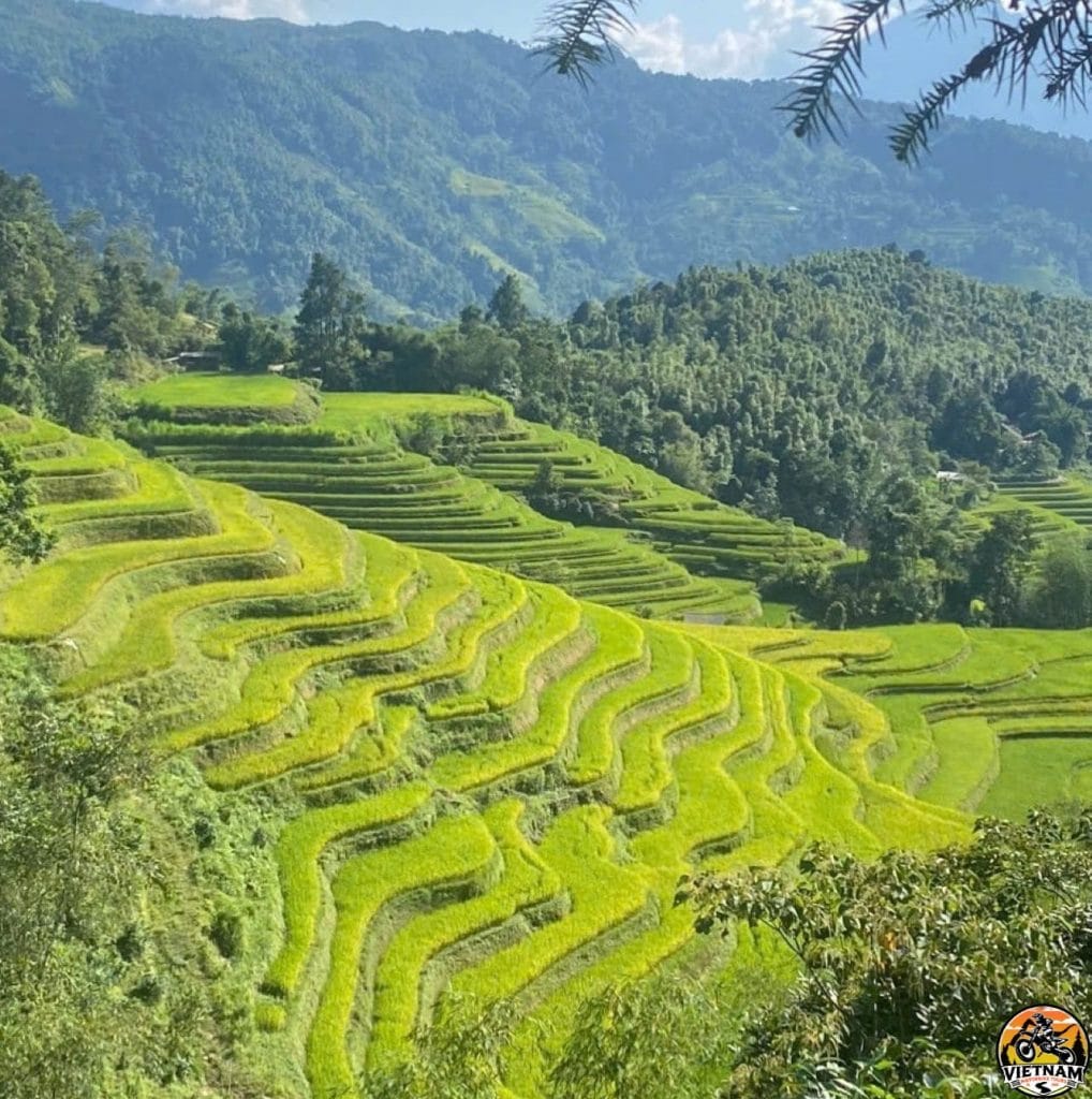 Vietnam Motorbike Tours