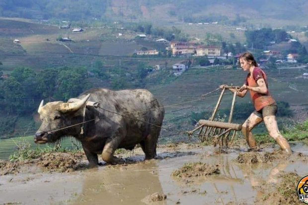 MOTORBIKE TOUR 21 DAYS  DALAT TO HA NOI VIA HO CHI MINH ROAD14