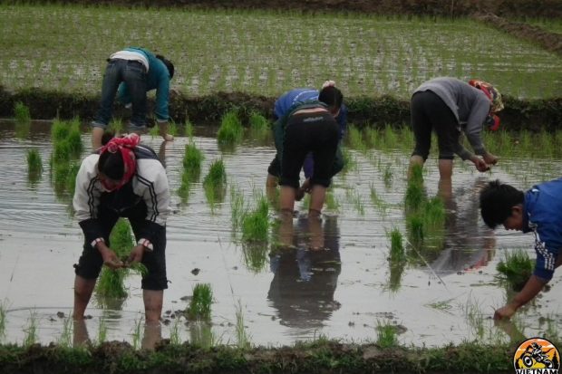 MOTORBIKE TOUR 21 DAYS  DALAT TO HA NOI VIA HO CHI MINH ROAD11