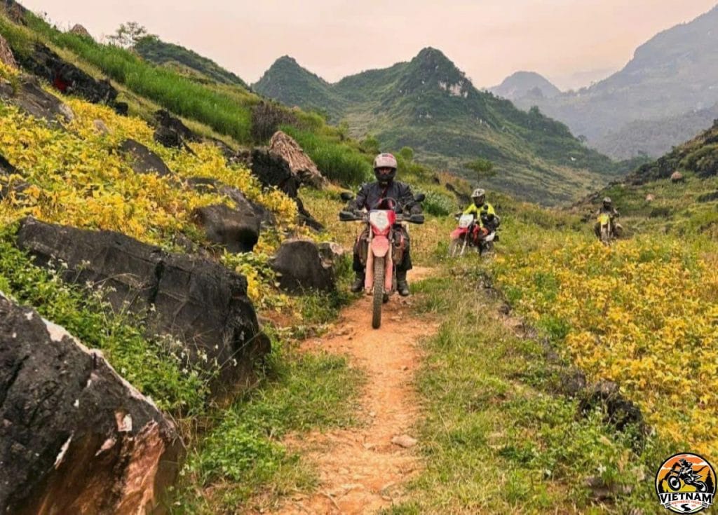 Vietnam Motorbike Tours