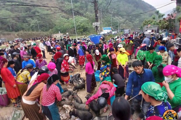 TOP GEAR HA GIANG LOOP TOUR – 3 DAYS BY MOTORBIKE6