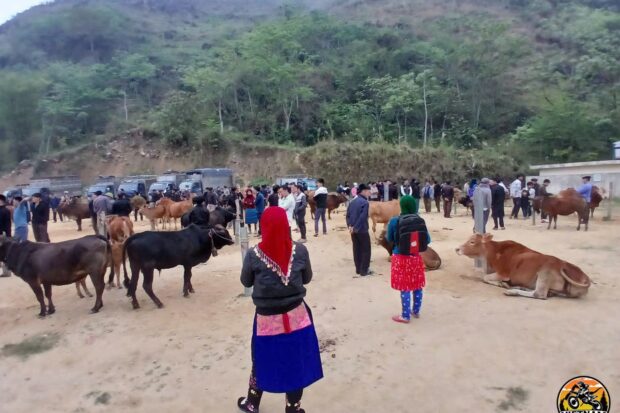 TOP GEAR HA GIANG LOOP TOUR – 4 DAYS BY MOTORBIKE5