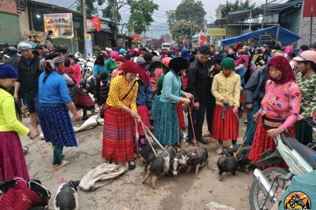 EPIC 6-DAY MOTORBIKE JOURNEY HA GIANG LOOP AND CAO BANG LOOP11