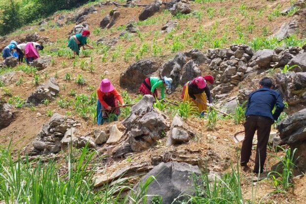 TOP GEAR HA GIANG LOOP TOUR – 4 DAYS BY MOTORBIKE12
