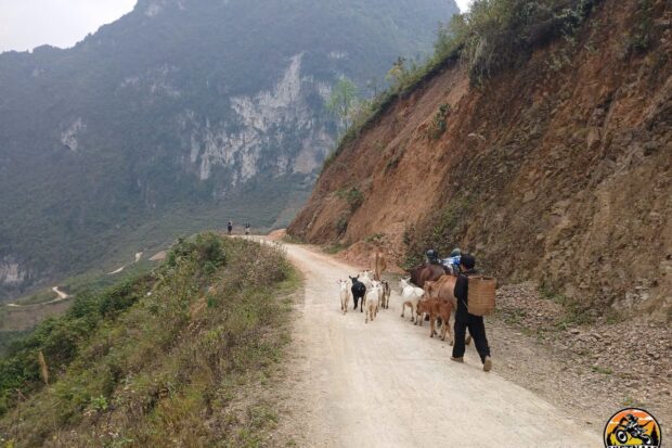 TOP GEAR HA GIANG LOOP TOUR – 4 DAYS BY MOTORBIKE15